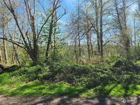 29405 Orville Rd E, Orting, WA 98360 photo 4