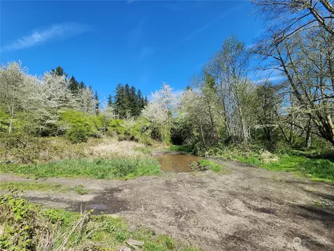 29405 Orville Rd E, Orting, WA 98360 photo 15