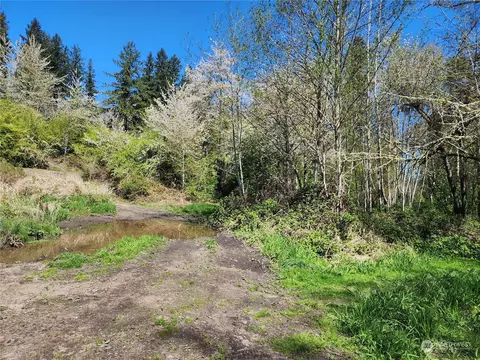 29405 Orville Rd E, Orting, WA 98360 photo 16