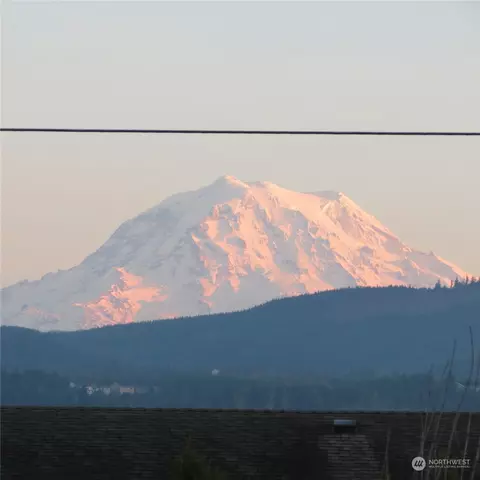View/Area - 318 Rushton Ave SW, Orting, WA 98360 photo 1 of 3