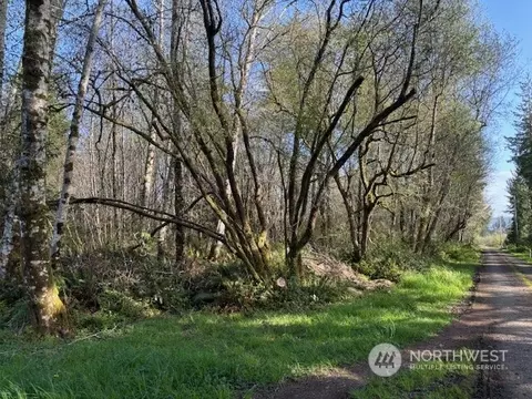 0 Nn Monte Elma Rd, Montesano, WA 98563