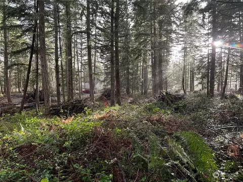 0 2nd Ave E, Roy, WA 98580 photo 5
