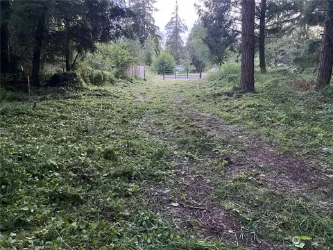 0 2nd Ave E, Roy, WA 98580 photo 4