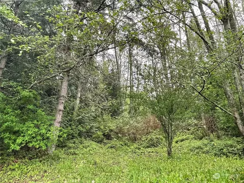 63 S Camano Ridge Rd, Camano Island, WA 98282