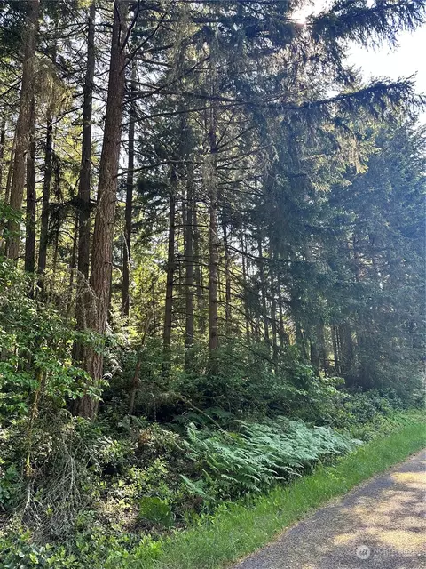 9313 Kootenai Rd, Anderson Island, WA 98303