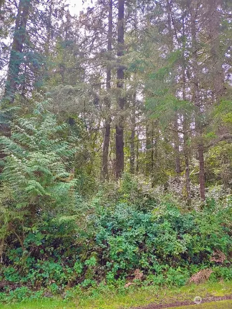 11018 Admiralty Way, Anderson Island, WA 98303