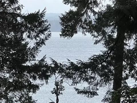 432 Pleasant Harbor Rd, Brinnon, WA 98320