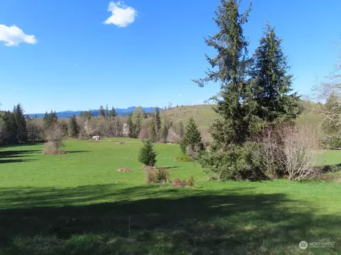 0 Nnn Hagen Rd, Mossyrock, WA 98564