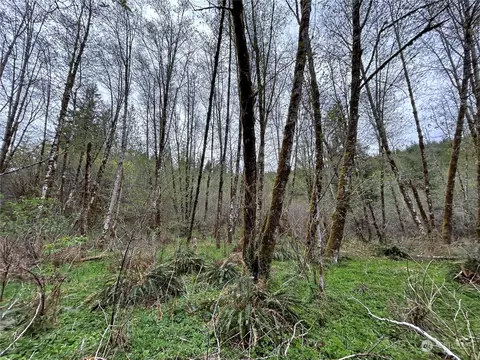 0 Lot 3 Abernathy Creek Rd, Longview, WA 98632