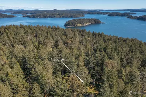 View/Area - 77 Oak Ln, Deer Harbor, WA 98243 photo 3 of 4