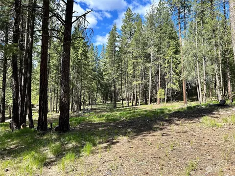 7 Mustard Mountain Rd, Winthrop, WA 98862