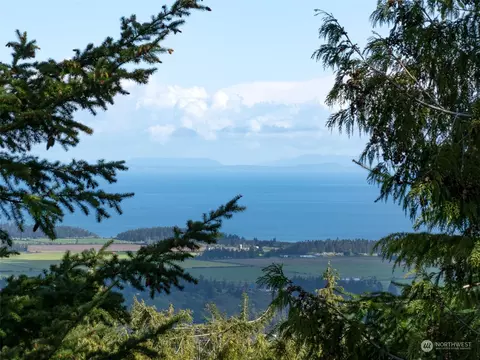 View/Area - 972 Doe Run Rd, Sequim, WA 98382 photo 3 of 3