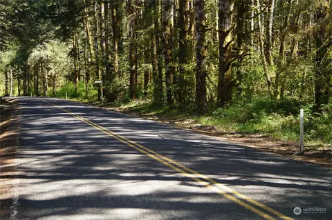 0 Mp 19 Garrard Creek Rd, Rochester, WA 98579
