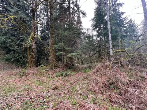 7589 Glacier Springs Dr, Glacier, WA 98244