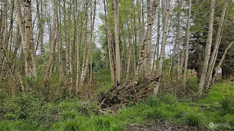 18721 Pioneer Way, Orting, WA 98360