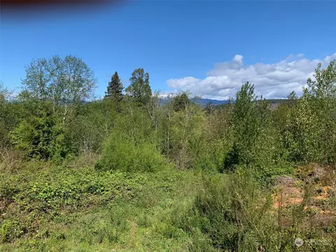 2 E Nn E Kuhn Ave, Union, WA 98528 photo 3
