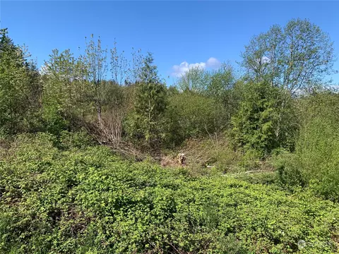 2 E Nn E Kuhn Ave, Union, WA 98528 photo 6