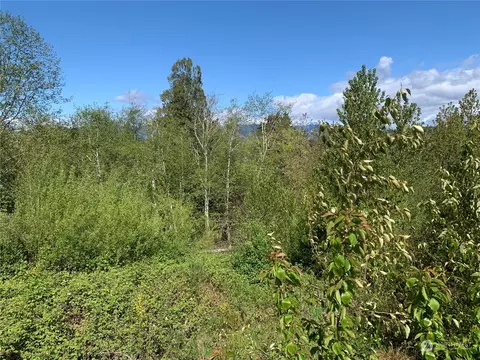 2 E Nn E Kuhn Ave, Union, WA 98528 photo 5