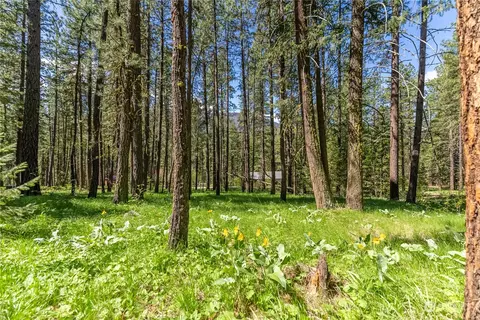 15 Mustard Mountain Rd, Winthrop, WA 98862