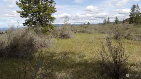 2 Pine Meadow Dr N, Davenport, WA 99122