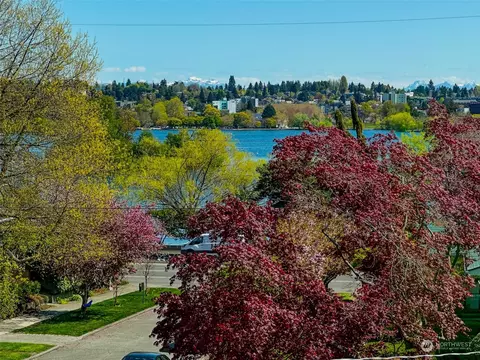 903 N 68th St, Seattle, WA 98103 photo 21