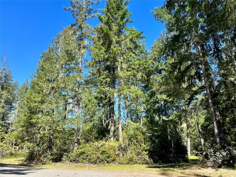 161 King Dr, Brinnon, WA 98320