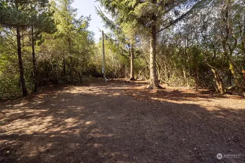 254 S Narwahl Loop SW, Ocean Shores, WA 98569