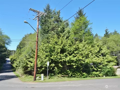 3 Holly Ln, Pacific Beach, WA 98571