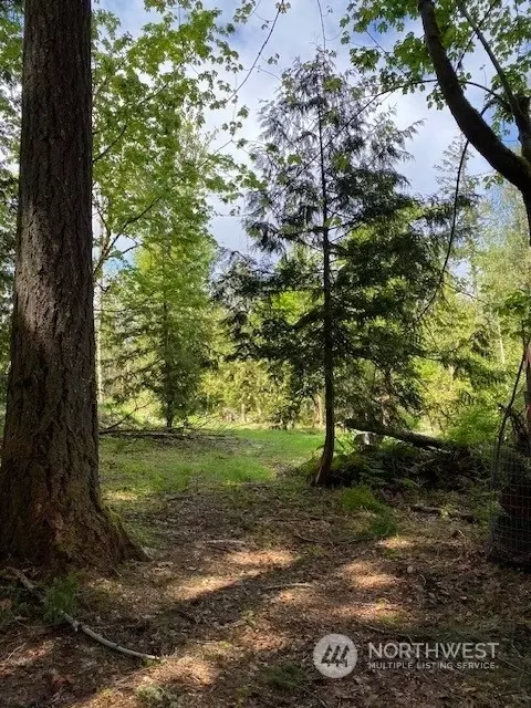 121 E Peyton Pl, Shelton, WA 98584 photo 2