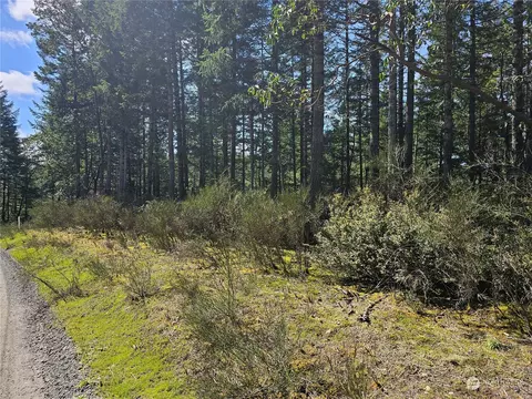 615 E Nnn Eagle Pt Dr, Union, WA 98592