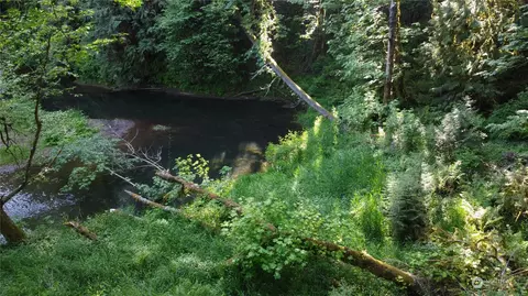 0 Carlon Loop Rd #4, Longview, WA 98632 photo 3