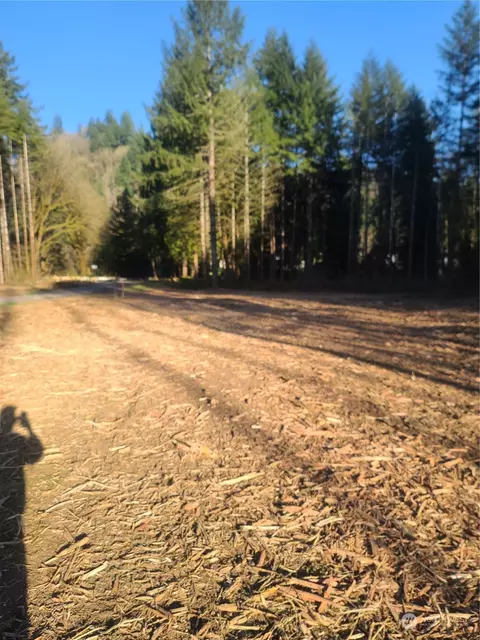 0 Carlon Loop Rd #4, Longview, WA 98632 photo 10