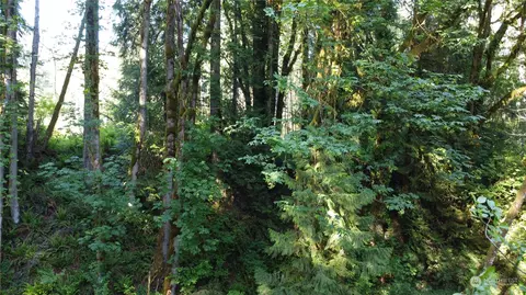 0 Carlon Loop Rd #4, Longview, WA 98632 photo 20
