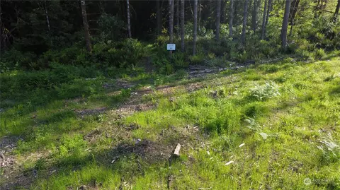 0 Carlon Loop Rd #4, Longview, WA 98632 photo 13