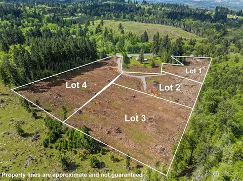 0 Spirit Lake Hwy #LOT 1, Castle Rock, WA 98611