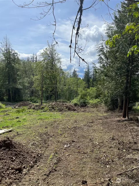 441 E Panorama Dr, Shelton, WA 98584