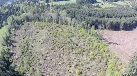 View/Area - 125 Hale Rd E, Winlock, WA 98596 photo 2 of 4