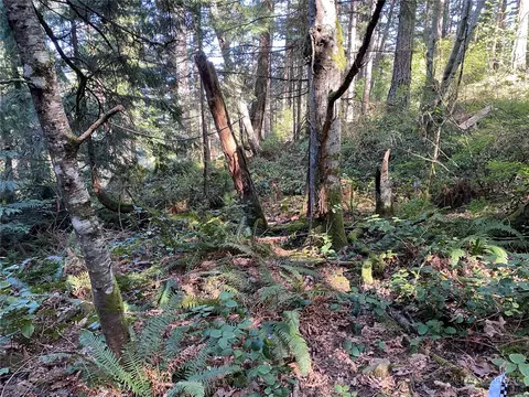 2861 Aiston Creek Rd, Lummi Island, WA 98262