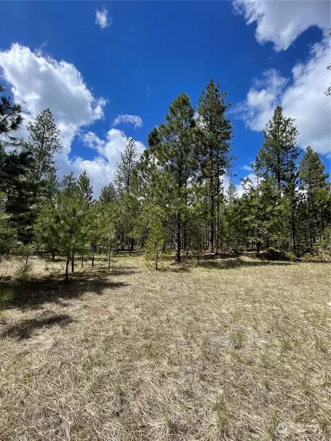 119 Chief Joseph Trl, Riverside, WA 98849
