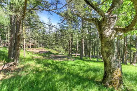 566 Rosario Rd, Orcas Island, WA 98245 photo 7