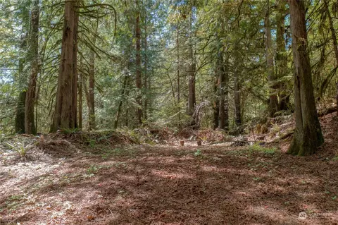 94 N Sylvester Ln, Lilliwaup, WA 98584