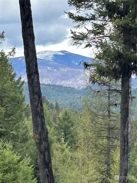 70 Prior Loop, Oroville, WA 98844