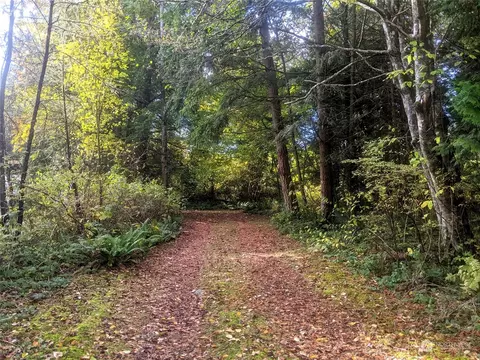 3 Madrona Pl, Point Roberts, WA 98281