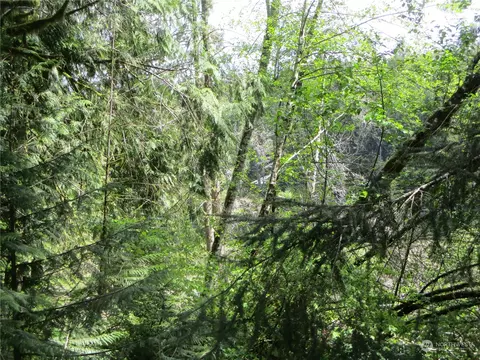 0 E Coon Lk, Belfair, WA 98528