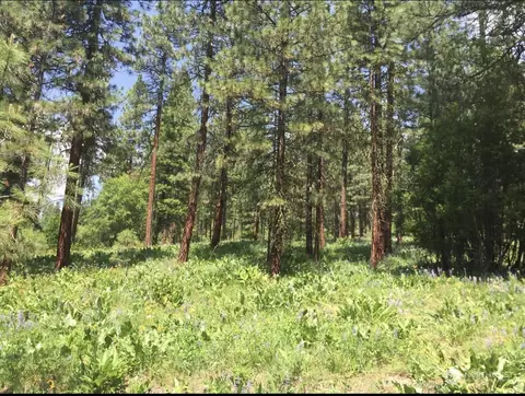 6390 Campbell Rd, Peshastin, WA 98847