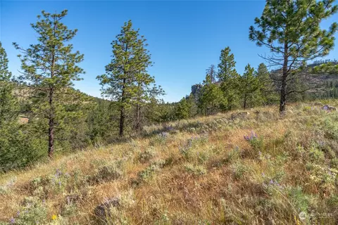 30 Ruthless Rd, Riverside, WA 98849 photo 24
