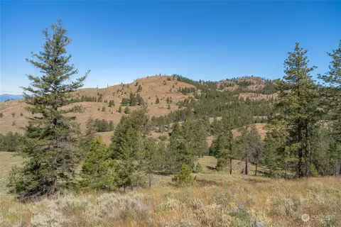 30 Ruthless Rd, Riverside, WA 98849 photo 25