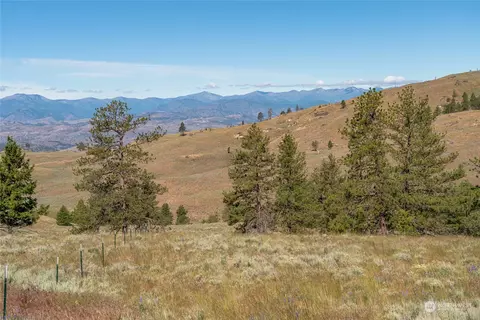 30 Ruthless Rd, Riverside, WA 98849 photo 29