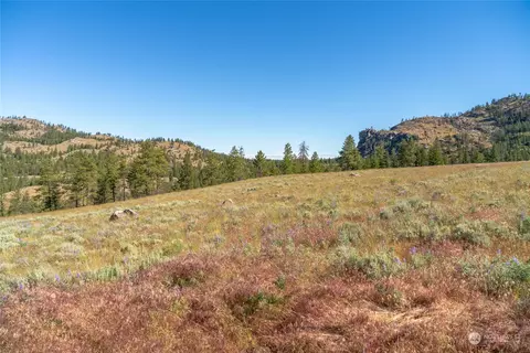 30 Ruthless Rd, Riverside, WA 98849 photo 31