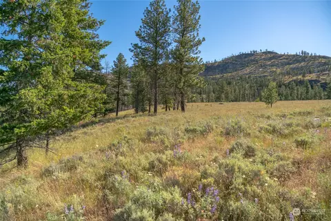 30 Ruthless Rd, Riverside, WA 98849 photo 16